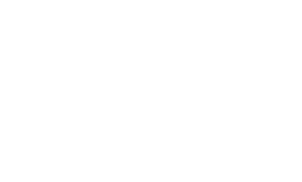 aws partner
