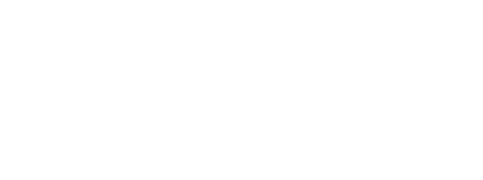 ibm partner
